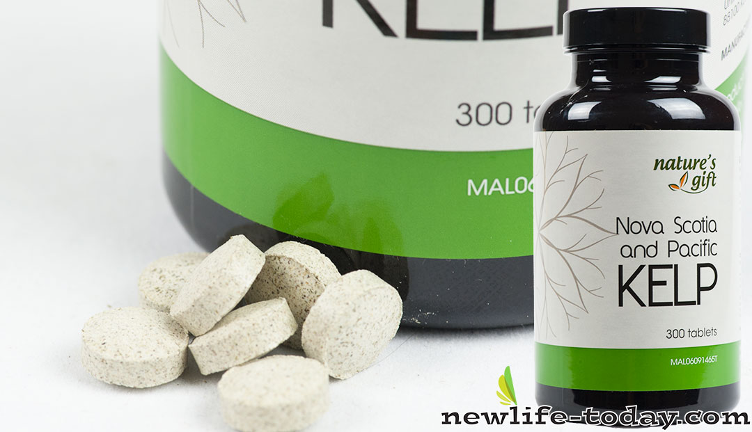Kelp