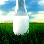 Cow Milk - Food or Poison cow-milk-food-poison-1