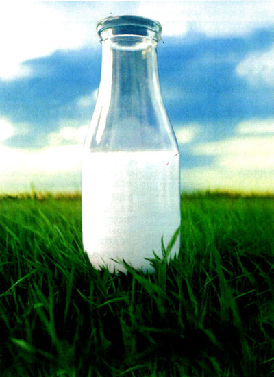 cow-milk-food-poison-1