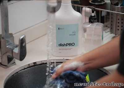 DishPro