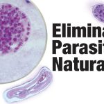 eliminate-parasites-naturally