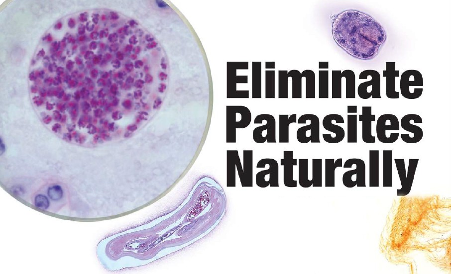 eliminate-parasites-naturally