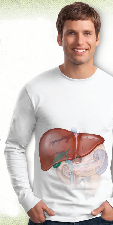 healthy-liver-vitality-1