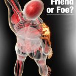 Anti-Inflammatory Diet inflammation-friend-or-foe-1