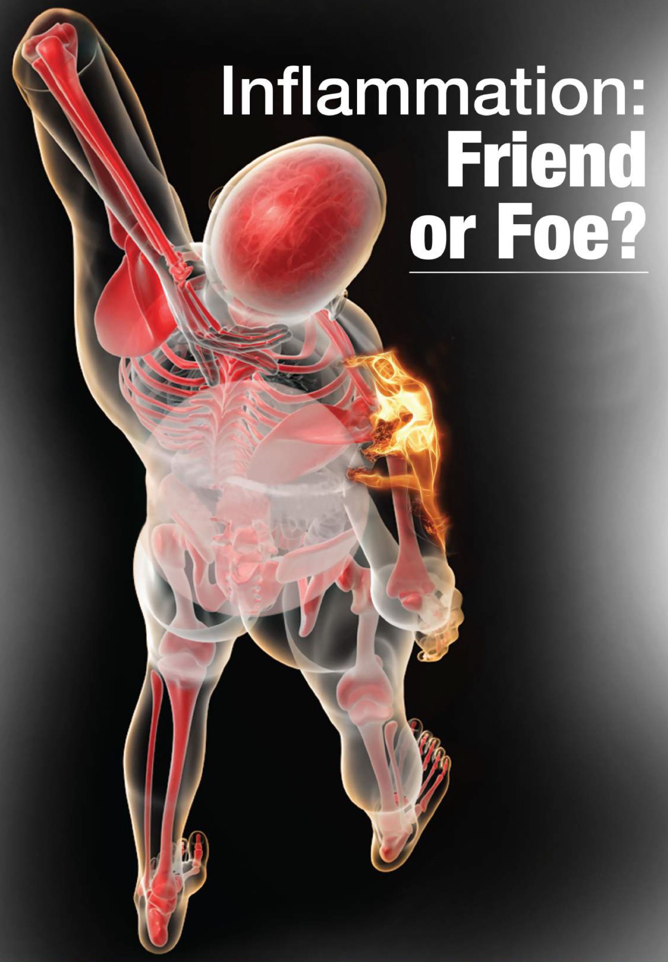 inflammation-friend-or-foe-1