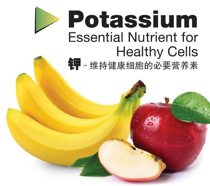 potassium-essential-nutrient-healthy-cells