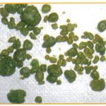 testimony-overhauled-reshaped-rejuvenated-2